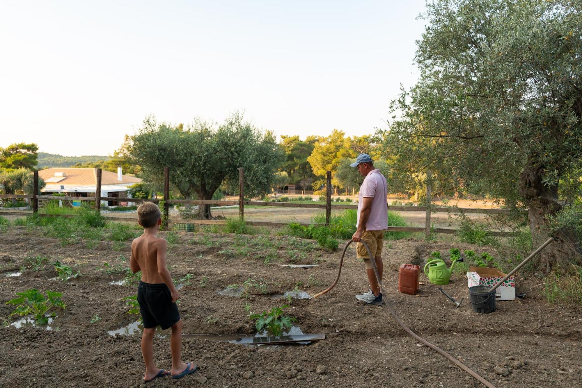 Agrotopia * Theologos (Rhodes)