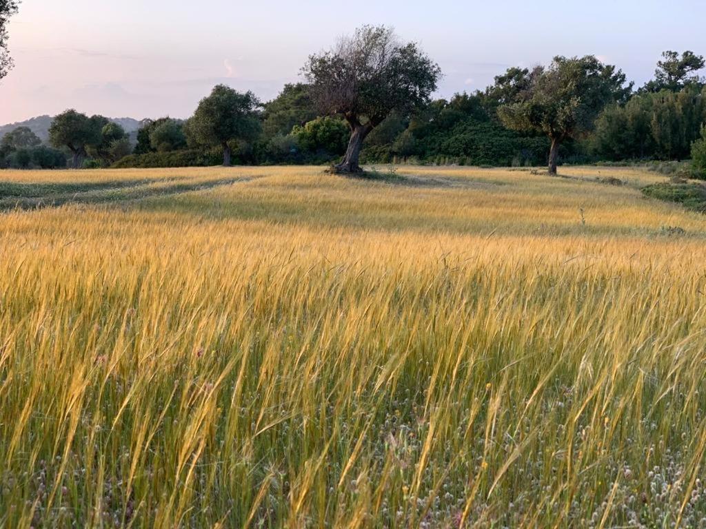 Agrotopia