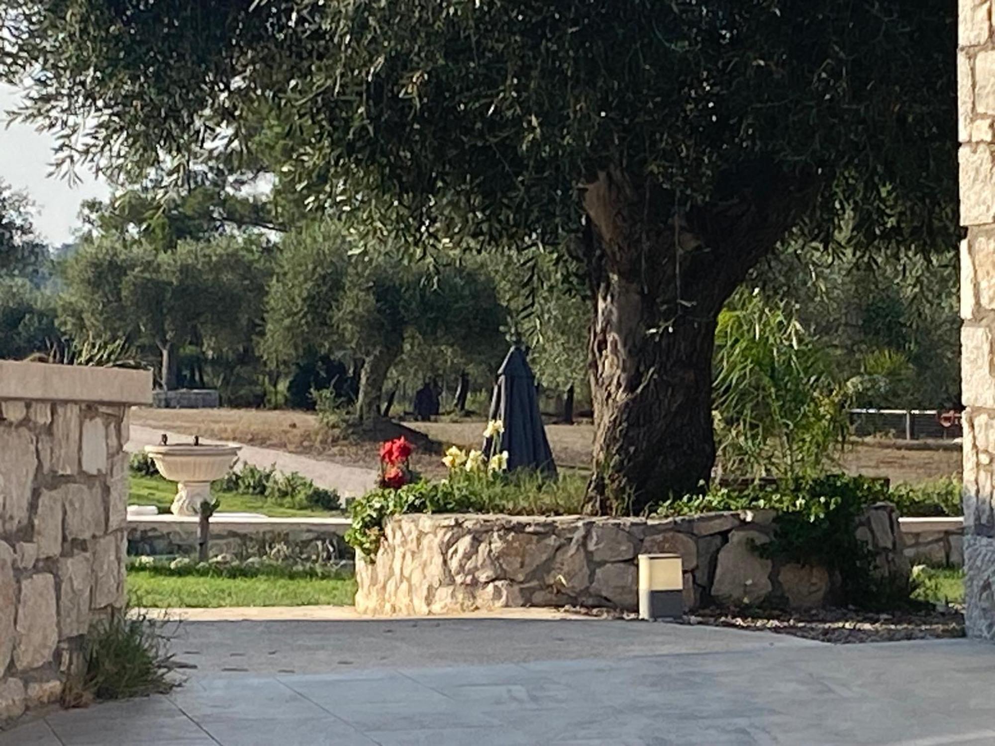 Agrotopia * Theologos (Rhodes)
